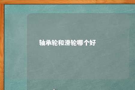 轴承轮和滑轮哪个好 